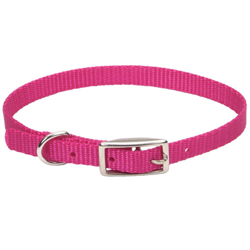 Нашийник Coastal Nylon Web для собак, нейлон, фламінго, 25×1 см