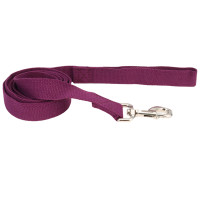 Повідець Coastal New Earth Soy Dog Leash для собак, фіолетовий, 183×1.6 см Повідець Coastal New Earth Soy Dog Leash для собак, фіолетовий, 183×1.6 см