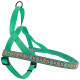 Шлея Coastal Ribbon Weave Harness для собак, темно-бірюзовий з кісточками, 71-91×2.5 см
