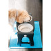 Миска Dexas Adjustable Height Pet Feeder подвійна, з регульованими ніжками, світло-сіра, 960 мл