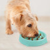 Миска-лабіринт для собак Outward Hound Fun Feeder Хвиля, мала, м'ятна, 15.2×2.5 см