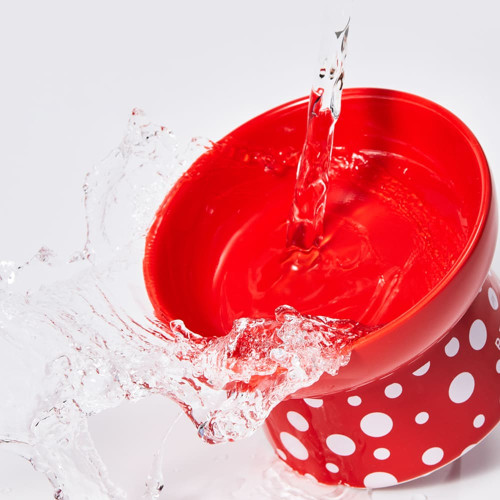 Миска Petkit Polka Dot Bowl керамічна, для собак малих порід і котів, червона, 120 мл