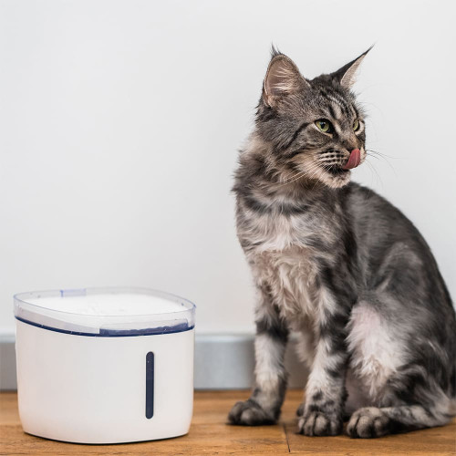 Поїлка-фонтан Petoneer Kitten/Puppy Water Dispenser FSW030-M автоматична, для собак і котів, біла, 1.9 л