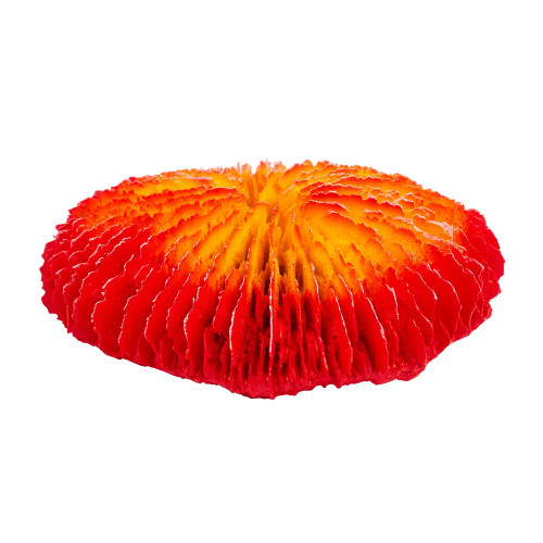 Штучний корал Blue Treasure HZY 247, 10×3×10 см
