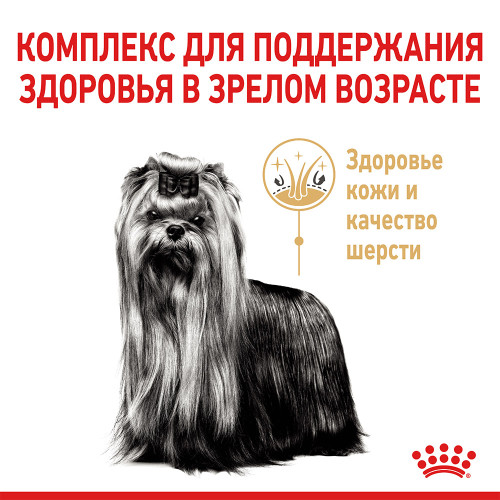 Сухий корм Royal Canin Yorkshire Terrier Ageing 8+ для йоркширського тер'єра старше 8 років, 1.5 кг