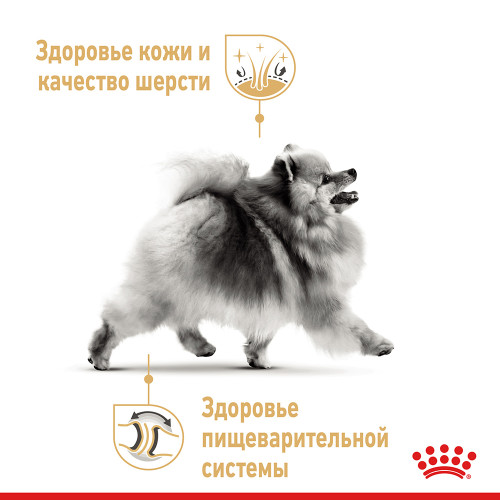 Вологий корм Royal Canin Pomeranian Adult паштет, для померанського шпіца, 85 г