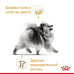 Вологий корм Royal Canin Pomeranian Adult паштет, для померанського шпіца, 85 г