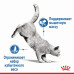 Вологий корм Royal Canin Light Weight Care паштет, для котів схильних до зайвої ваги, 85 г