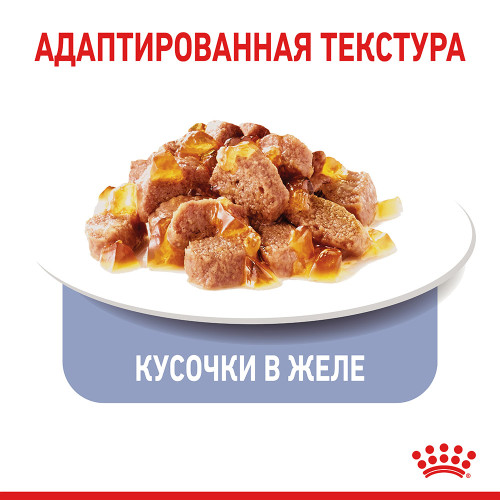 Вологий корм Royal Canin Light Weight Care паштет, для котів схильних до зайвої ваги, 85 г