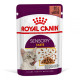 Вологий корм Royal Canin Sensory Taste Gravy для котів вибагливих до смаку, шматочки в соусі, 85 г