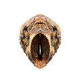 Ласощі AnimalHome калтик яловичий сушений чищений хрящ, для собак, преміум, 1 кг