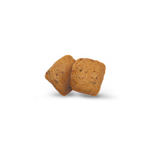 Сухий корм Green Petfood InsectDog Hypoallergen Adult для дорослих собак, з протеїнами комах, 900 г