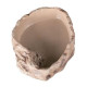 Миска для води Repti-Zoo XL ERB09L 28x22x6см