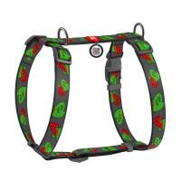 Шлея Waudog Nylon з QR-паспортом для собак, анатомічна, малюнок "Калина", розмір S, 30-40/30-50 см