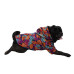 Дощовик Paw Star Folium Raincoat для собак, розмір XXL