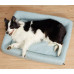 Лежанка Petkit Four Season Pet Bed New для собак, розмір S, 51×39×10.5 см, блакитна