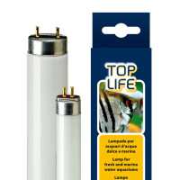 Люмінесцентна лампа Ferplast Toplife 14 W Lamp T5 для акваріумів з прісною і морською водою, 36,1 см Люмінесцентна лампа Ferplast Toplife 14 W Lamp T5 для акваріумів з прісною і морською водою, 36,1 см