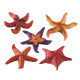 Декорація з поліуретану Ferplast BLU 9158 Starfish Small для акваріумів морські зірки, маленькі 9x9x2 см