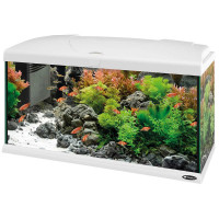 Скляний акваріум Ferplast Capri 80 White з LED-освітленням, білий, 100 л Скляний акваріум Ferplast Capri 80 White з LED-освітленням, білий, 100 л