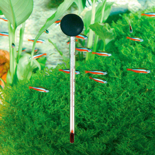 Скляний термометр Ferplast BLU 6811 Thermometer для акваріумів