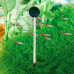 Скляний термометр Ferplast BLU 6811 Thermometer для акваріумів