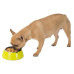 Ferplast Jolie Medium Green Bowl металева миска для собак і кішок, 20 см