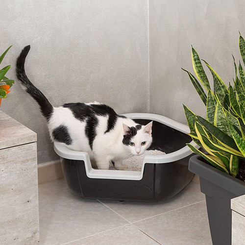Кутовий відкритий туалет Ferplast Litter Tray Dama для кішок, 57,5x51,5x42 см