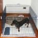 Загін Ferplast Dog Training для собак і цуценят, 80×80×62 см