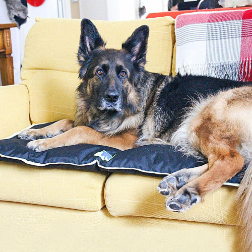 Водоотталкивающая подушка Ferplast Jolly 110 Cushion Black для собак, чорна, 108×79 см