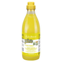 Шампунь для тварин Iv San Bernard Ginger and Elderberry, 500 мл.