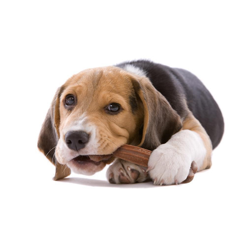 Жувальна іграшка Ferplast GoodBite Natural Lamb Bone M для собак, 13,5x4,4x2,1 см