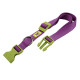 Нейлоновий нашийник Ferplast Club C25 / 70 Colours Purple для собак, фіолетовий, 45x70 см