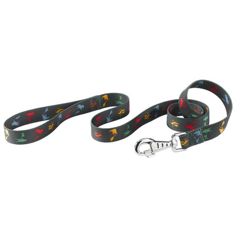 Нейлоновий поводок Ferplast Club G25 / 120 Cirus для собак, 25 мм, 120 см
