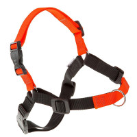 Шлейка Ferplast Coach P L Harness Orange для дресирування, A: 33x43 см, B: 64x91 см Шлейка Ferplast Coach P L Harness Orange для дресирування, A: 33x43 см, B: 64x91 см