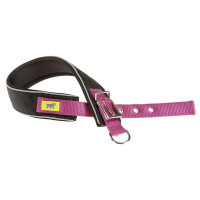 Нейлоновий нашийник Ferplast Daytona Comfort CF40 / 45 Purple для собак, фіолетовий, A: 37x45 см, B: 40 мм