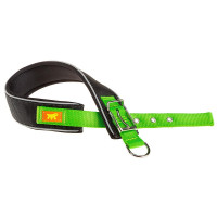 Нейлоновий нашийник Ferplast Daytona Comfort CF40 / 53 Green для собак, зелений, A: 45x53 см, B: 40 мм Нейлоновий нашийник Ferplast Daytona Comfort CF40 / 53 Green для собак, зелений, A: 45x53 см, B: 40 мм