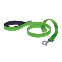 Нейлоновий поводок Ferplast Daytona G25 / 120 Green для собак, 25 мм 120 см
