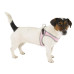 Ferplast Agila 4 Harness Pink ергономічна шлейки для собак з еластичним шнуром, 44x52 см