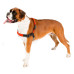 Шлейка Ferplast Coach P L-XL Harness Orange для дресирування, A: 40x53 см, B: 76x115 см