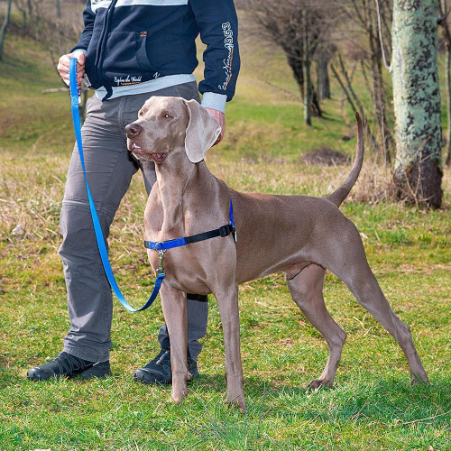 Шлейка Ferplast Coach P L-XL Harness Blue для дресирування, A: 40x53 см, B: 76x115 см
