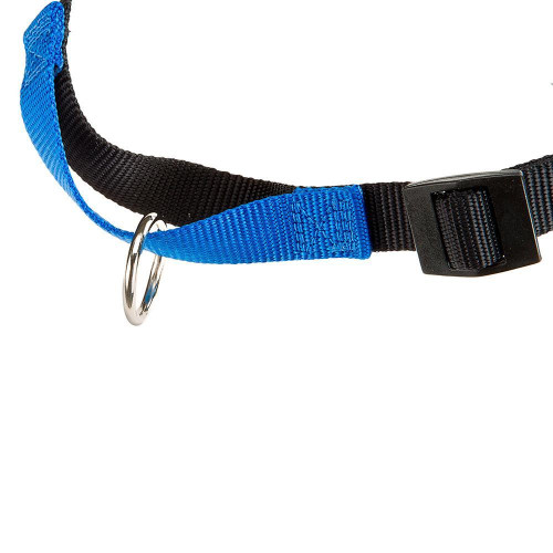 Шлейка Ferplast Coach P M Harness Blue для дресирування, A: 20x26 см, B: 42x59 см