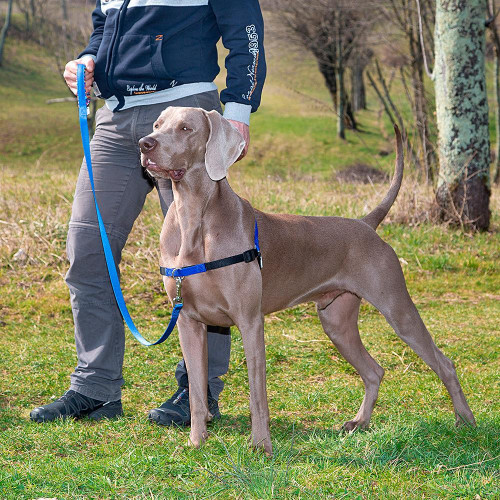 Шлейка Ferplast Coach P M-L Harness Blue для дресирування, A: 20x26 см, B: 42x59 см
