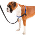 Шлейка Ferplast Coach P S-M Harness Blue для дресирування, A: 15x18 см, B: 33x41 см