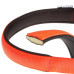Нейлоновий нашийник Ferplast Daytona C25 / 53 Orange для собак, помаранчевий, A: 45x53 см, B: 25 мм