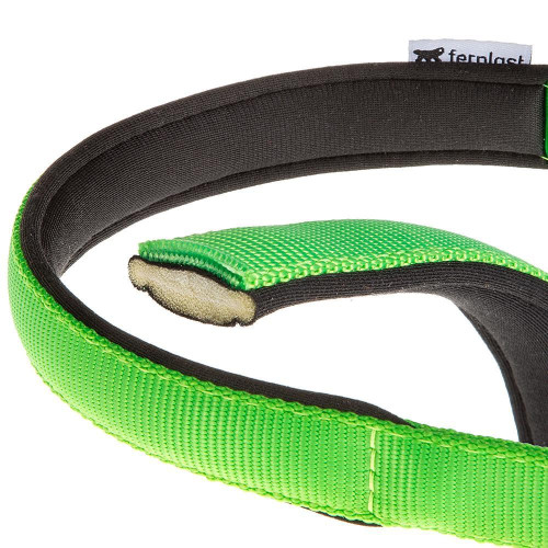 Нейлоновий нашийник Ferplast Daytona C25 / 53 Green для собак, зелений, A: 45x53 см, B: 25 мм